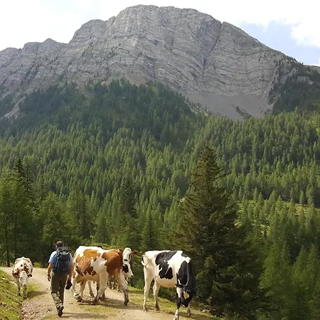 Pensionat Perauer 4*