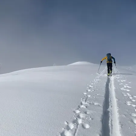 Pensionat Perauer 4*