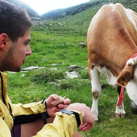 Perauer Гостевой дом 4*