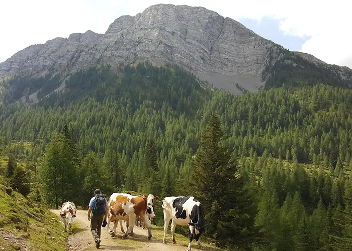 Guest house Gasthof Perauer 4*