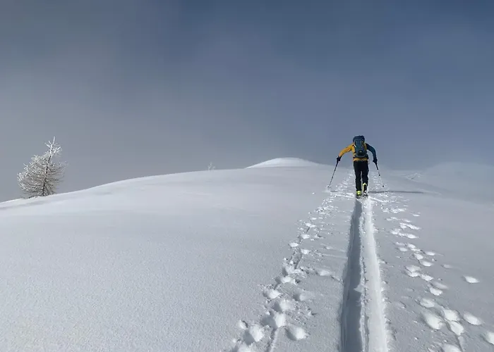 Guest house Gasthof Perauer 4*