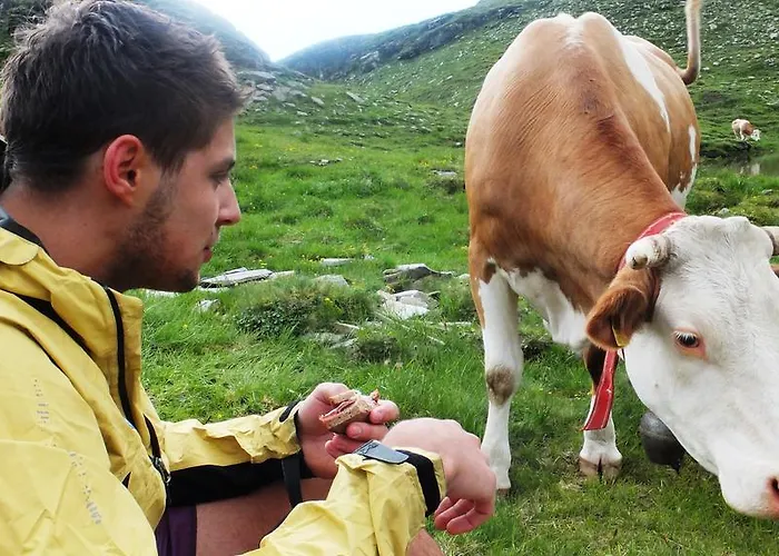 Gasthof Perauer Guest house 4*